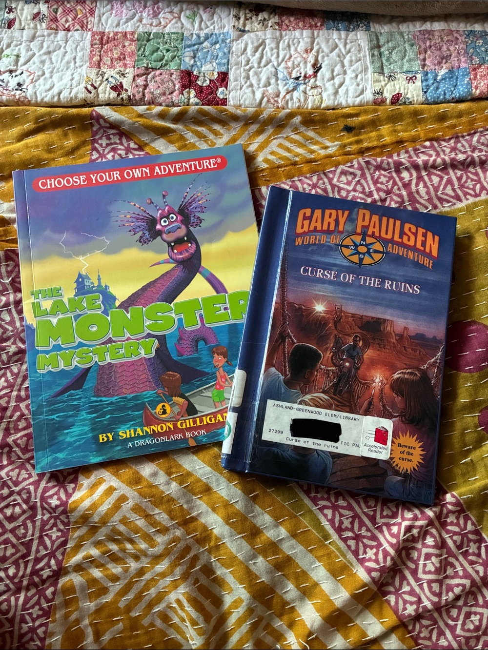 3/$10 Choose Your Own Adventure & Gary Paulsen Paperback Book Bundle